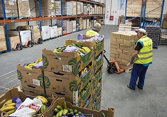 Banco de Alimentos de Burgos.