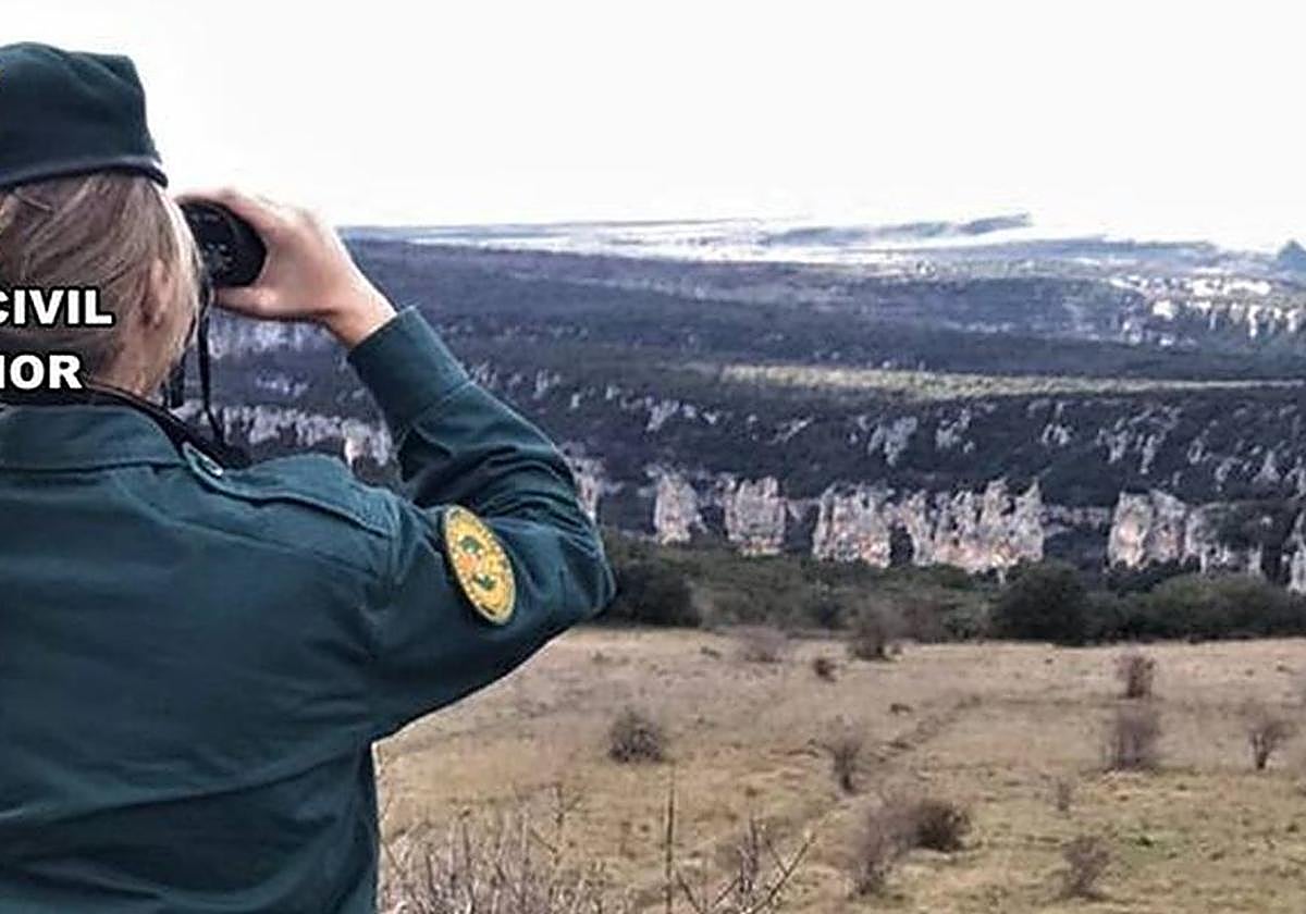 Foto de archivo de una búsqueda de la Guardia Civil.