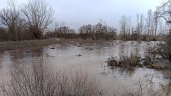 Arlanza y Pinares rebajan la alerta por desbordamientos, a pesar de que siguen las lluvias