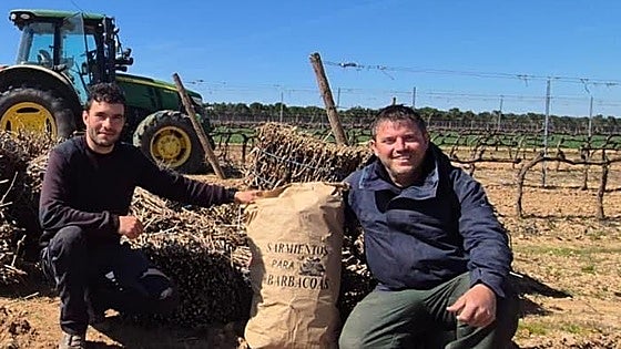 De residuo a recurso: la nueva vida del sarmiento en la Ribera del Duero