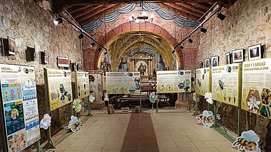 Un pueblo de Burgos acoge la exposición '1.000 Y 1 abejas: esenciales para la vida' durante esta Semana Santa