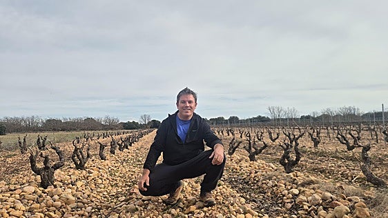 Nacho Rincón en sus viñedos de Moradillo de Roa.