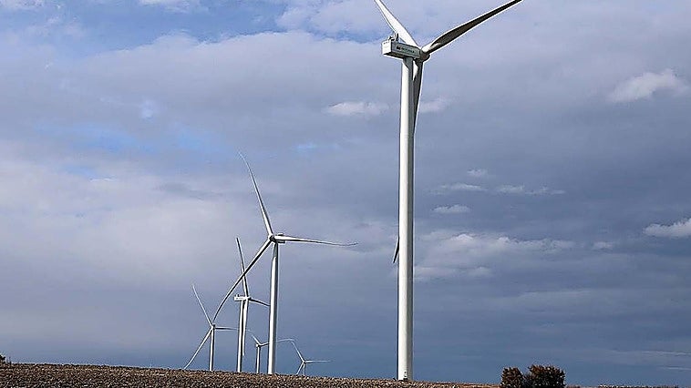 Proyectan un parque eólico con 17 molinos que afectaría al hábitat de murciélagos y otras especies «amenazadas»