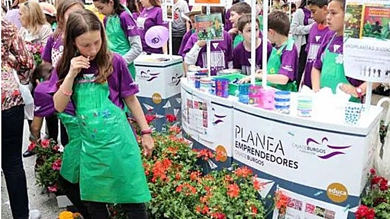 Aranda de Duero acoge este viernes la feria de las cooperativas escolares