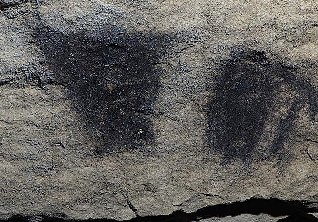 Detalle de las figuras geométricas que, en conjunto, recuerdan el cuerpo de un zoomorfo.