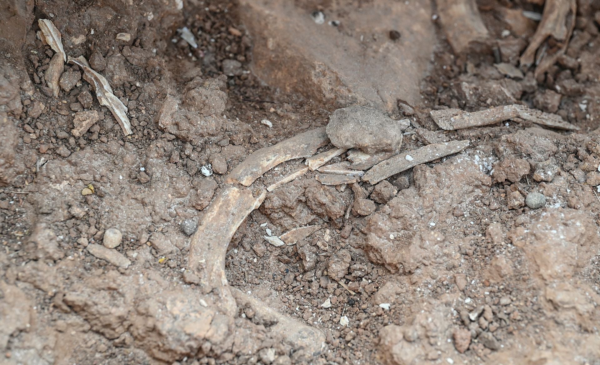 Imagen secundaria 1 - Imágenes de las excavaciones en Atapuerca.
