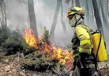 La Junta consigna 3,84 millones en ayudas directas para afectados por los incendios de este verano