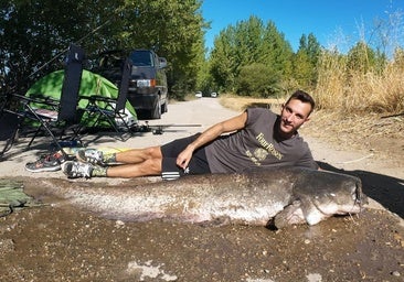 Un grupo de amigos pesca un siluro de más de dos metros en Burgos: «Costó muchísimo sacarlo, hubo momentos de tensión»