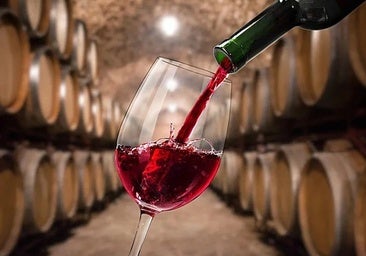 El vino de Burgos que gana el premio al 'Mejor Tinto Joven' en la Guía de Vinos Gourmets 2027