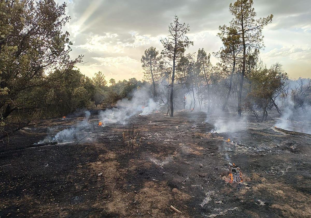 El incendio de Aranda continúa activo y se investigan las causas de su origen