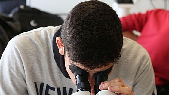 La Universidad de Burgos recibe una vez más el distintivo HR Excellence in Research de la Comisión Europea