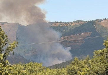 Dan por extinguido el grave incendio declarado el pasado viernes en el norte de Burgos