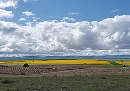 Campos de cultivos situados al sur de la provincia de Burgos.