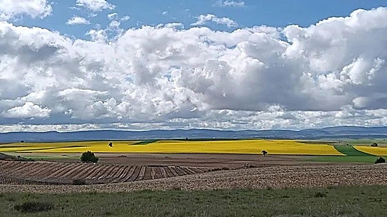 Las 22 fincas rústicas que se alquilan en un pueblo de Burgos desde 36 euros
