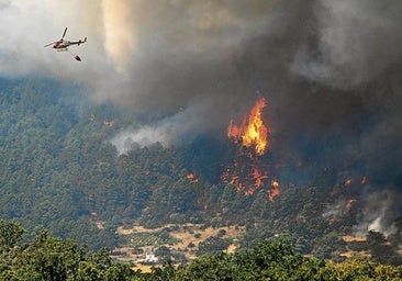 Más de 2,8 millones de euros para reparar los daños ocasionados por los incendios forestales de este verano