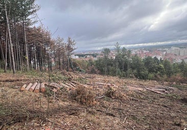 El Cinturón Verde de Burgos ejecuta en dos años el 90% del plan de aclareo previsto para cinco