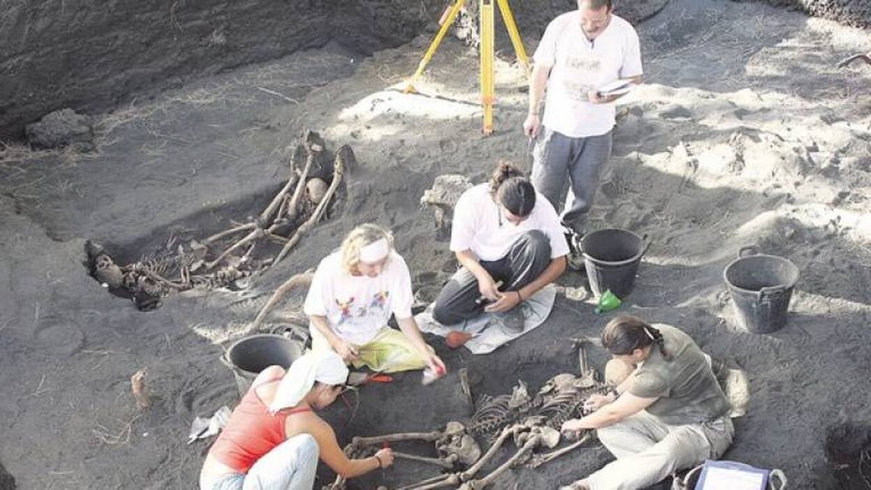 La ULPGC pide nuevos restos para identificar a los fusilados