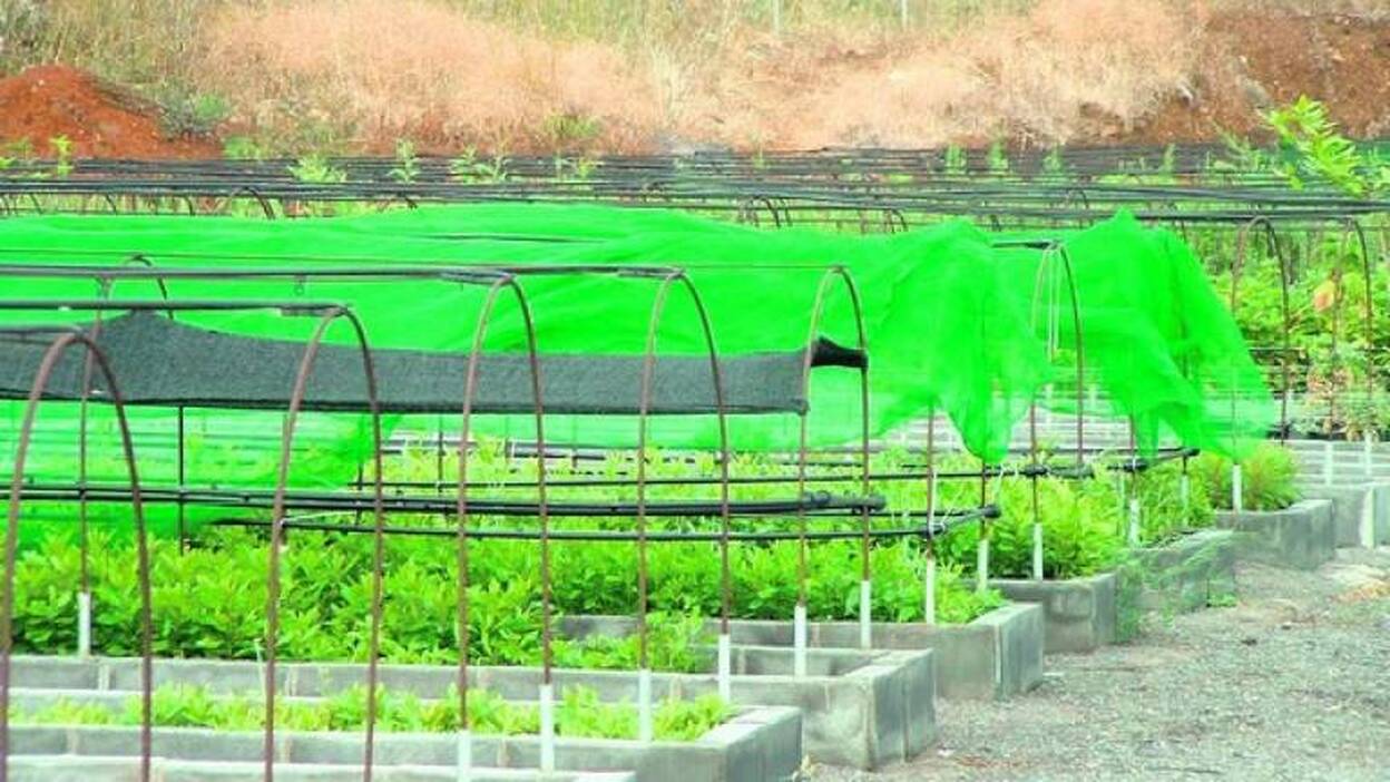 El centro de la flora y fauna tendrá una sala audiovisual