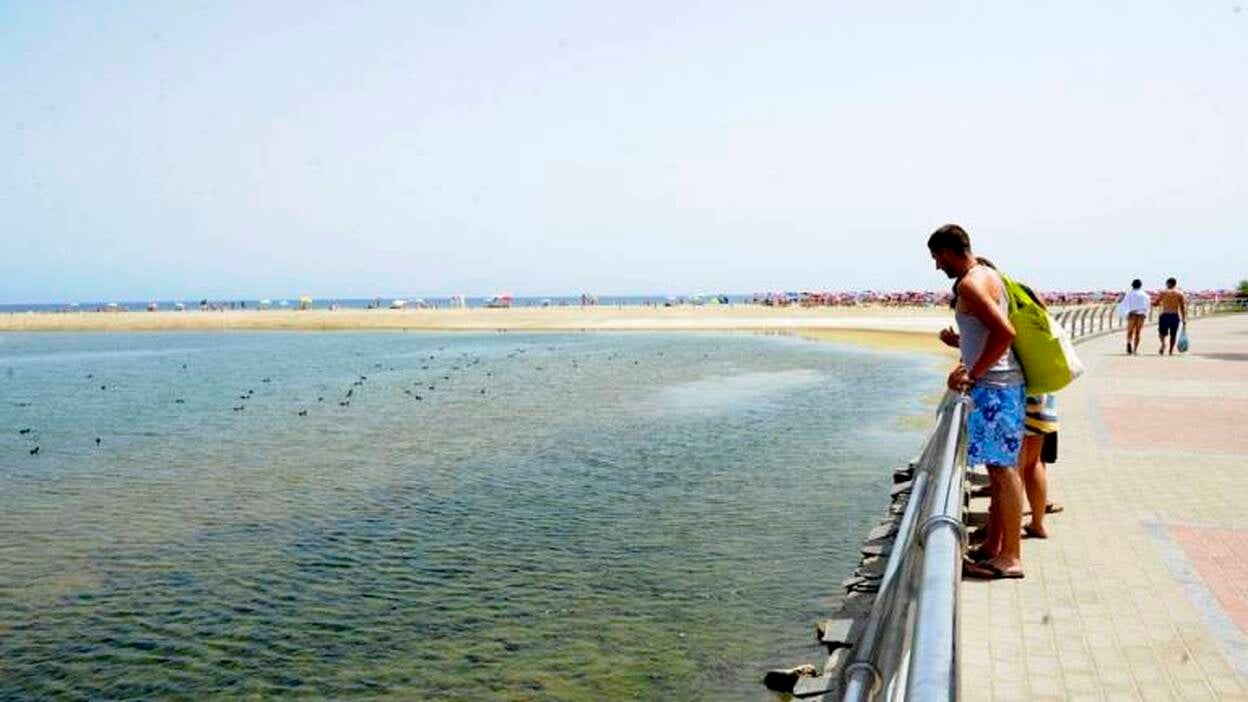 Peces muertos en la Charca