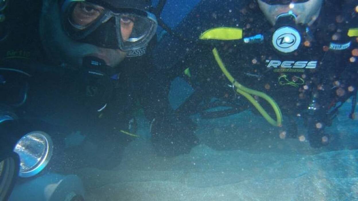 La carmelita cocodrilo se deja ver pese a su timidez