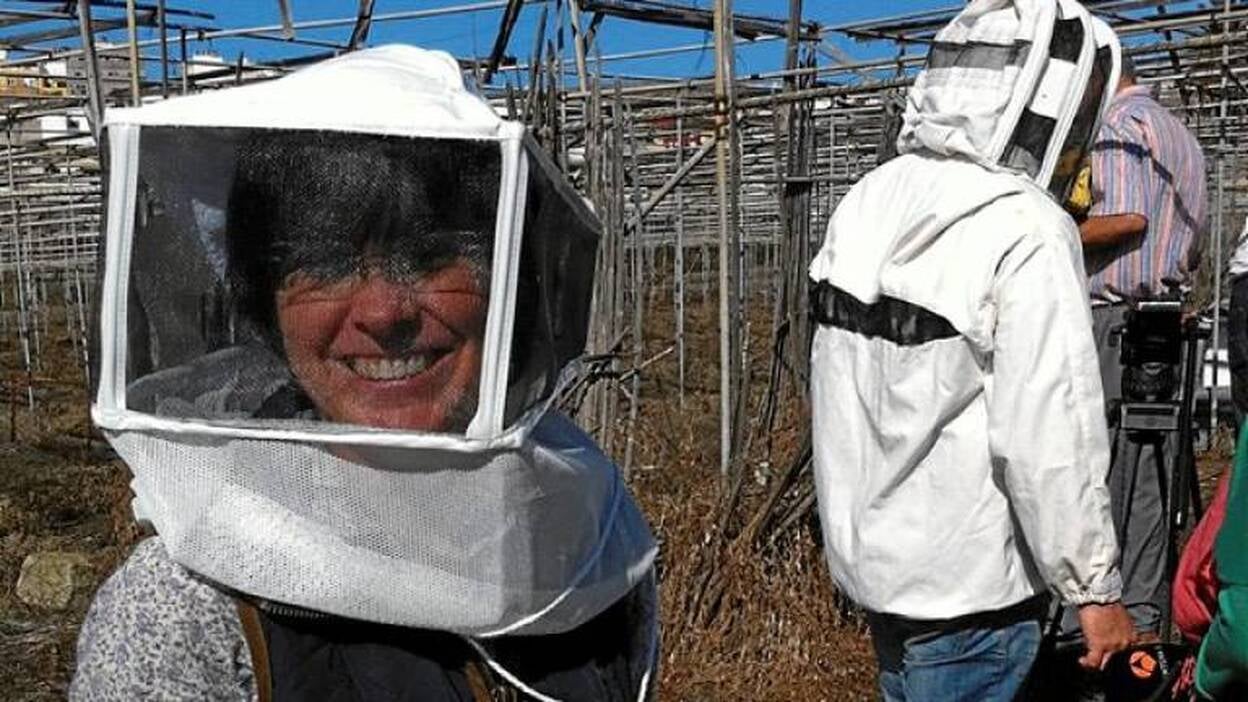 Darias se mete en el avispero