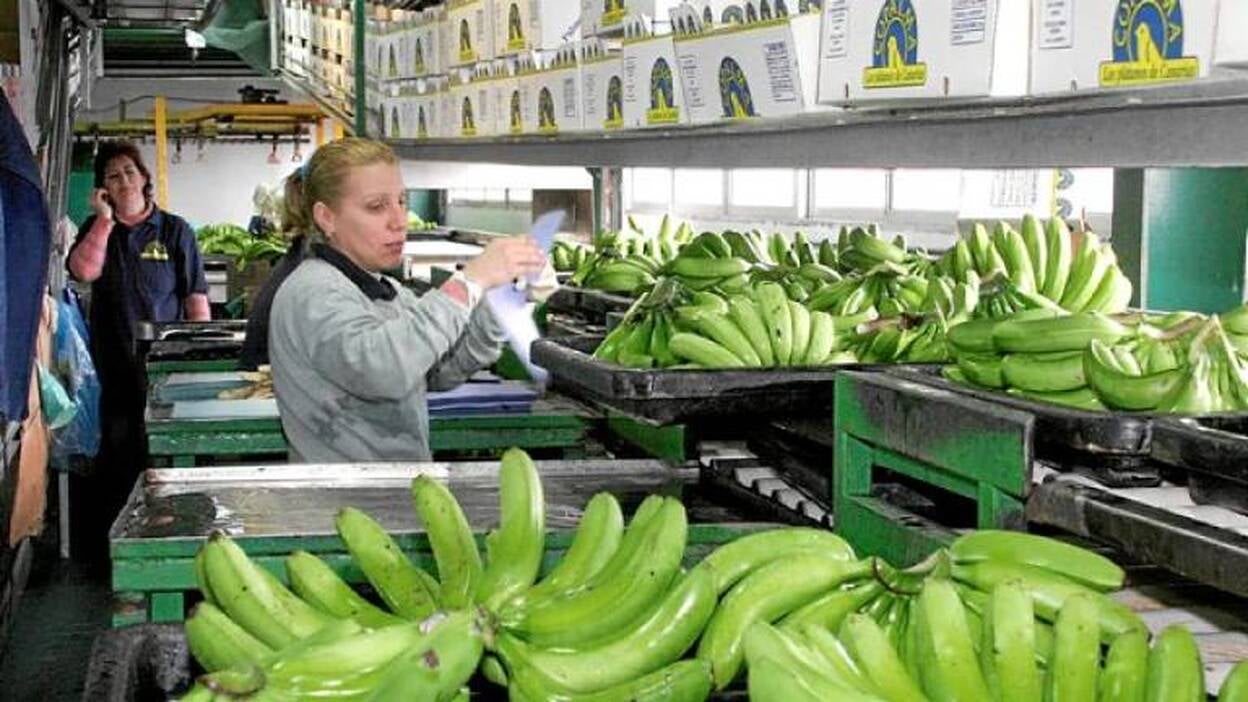 La patronal financia a la APEB