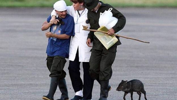 Los últimos policías y militares secuestrados en Colombia son liberados por FARC
