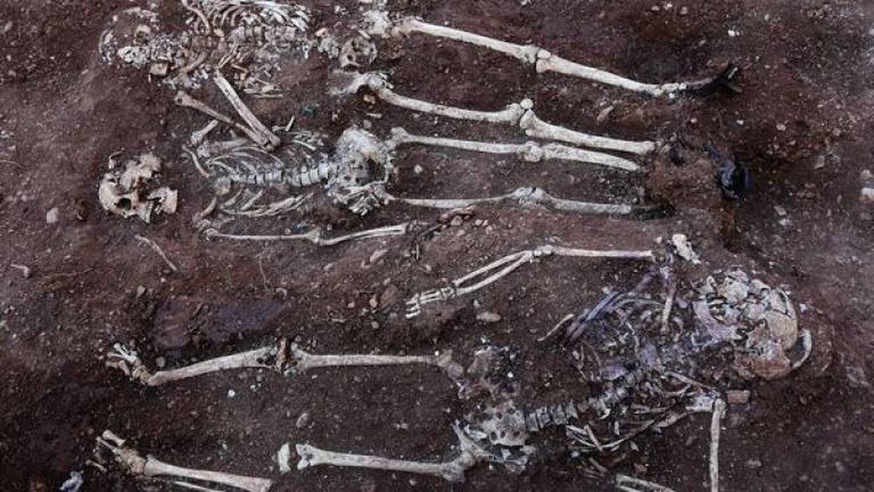 Exhuman en Teba la segunda fosa de fusilados más importante del país