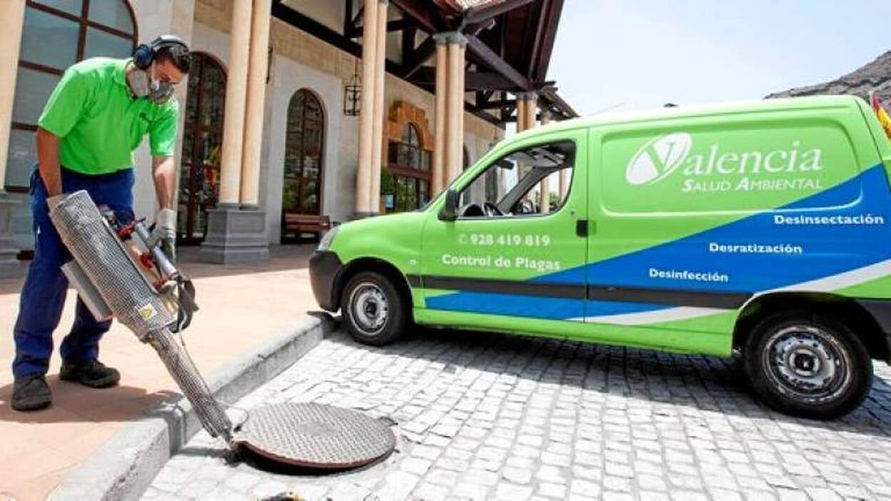 Insectos, esos bichos que nos acompañan en verano