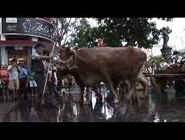 Vegueta celebra su tradicional romería
