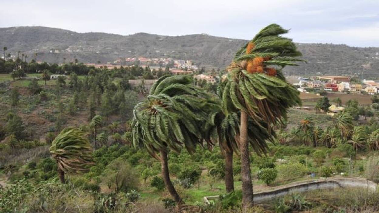 Alerta por vientos en Tenerife, Gran Canaria y La Palma
