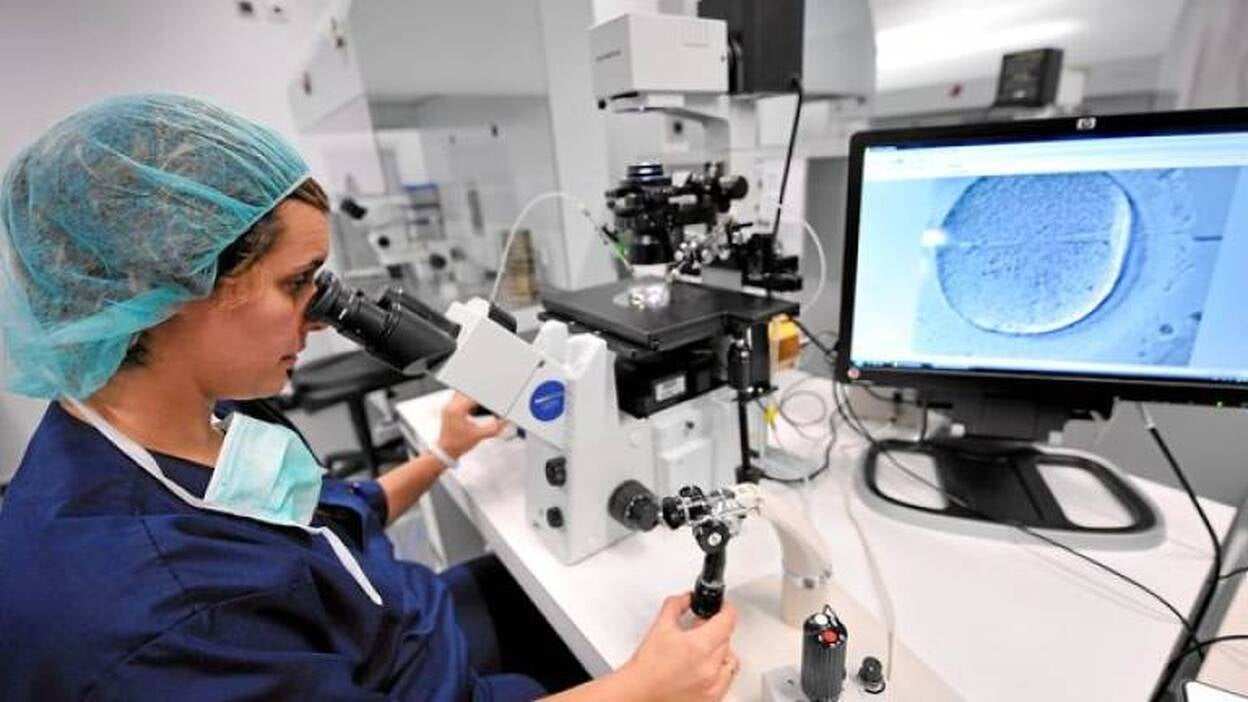 Incubador de embriones: La película de la vida al minuto