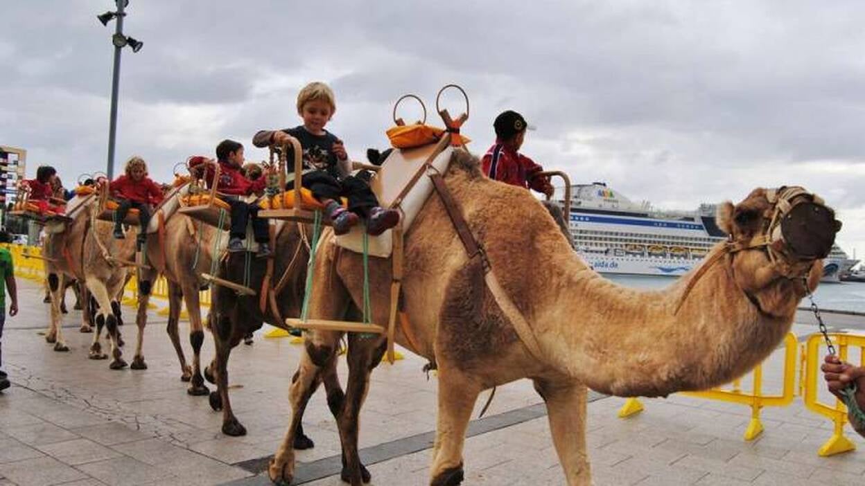 Oasis Park hace disfrutar a los niños capitalinos