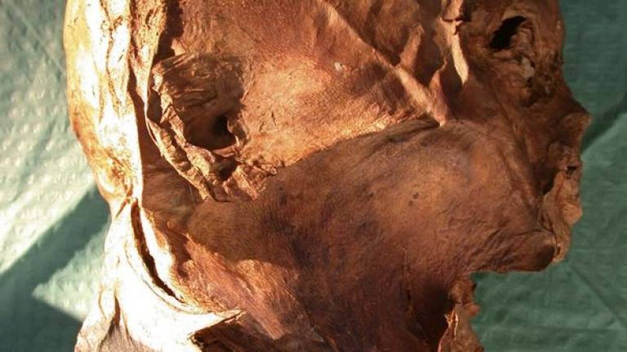 El ADN confirma la autenticidad de la cabeza momificada de Enrique IV