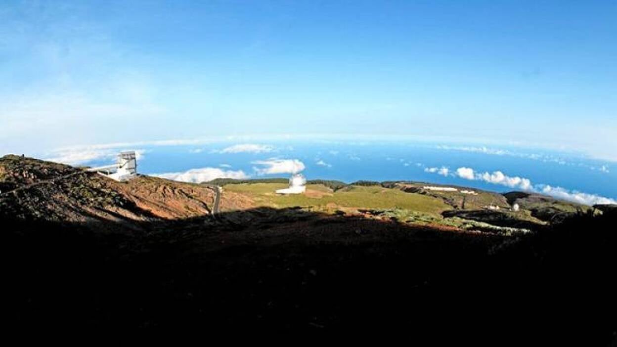 Gran giro a la economía palmera