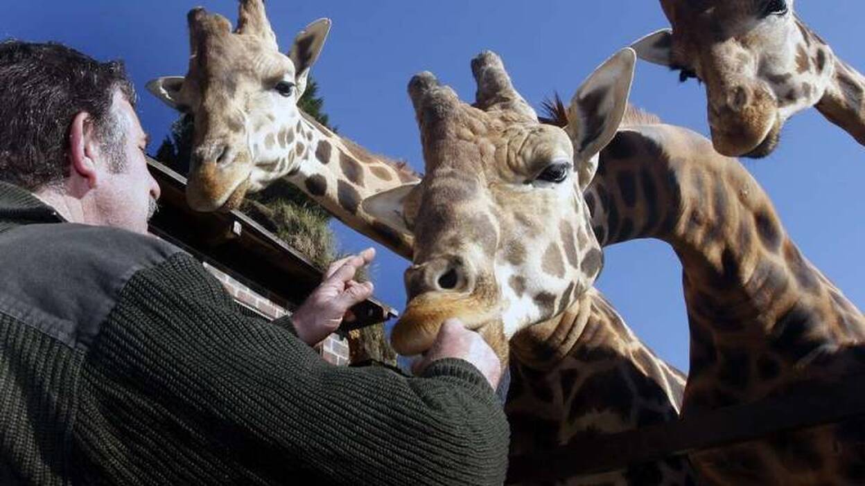 Sensaciones, casi ni vividas en la naturaleza