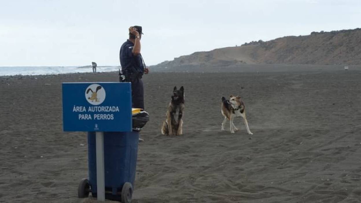 Las Palmas inaugura la primera playa para perros de Canarias en Bocabarranco