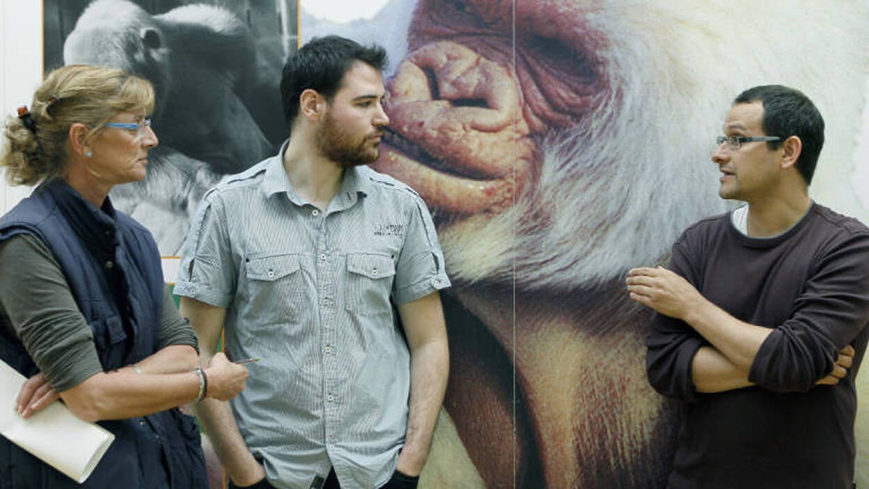 La endogamia provocó el albinismo de Copito de Nieve