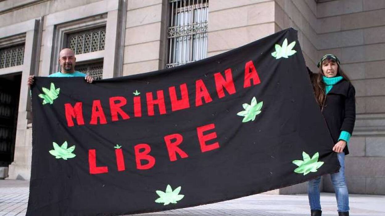 Diputados uruguayos aprueban la legalización de cultivo y comercio de marihuana