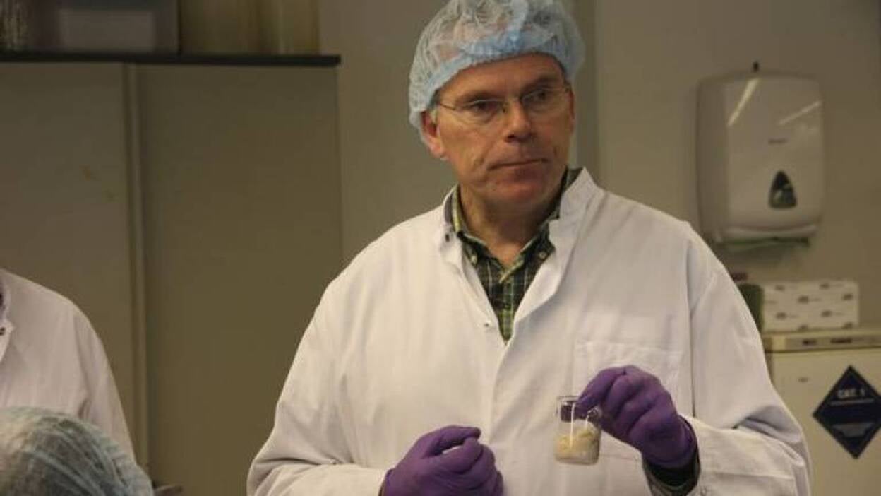 Científicos holandeses presentan la primera hamburguesa creada en laboratorio