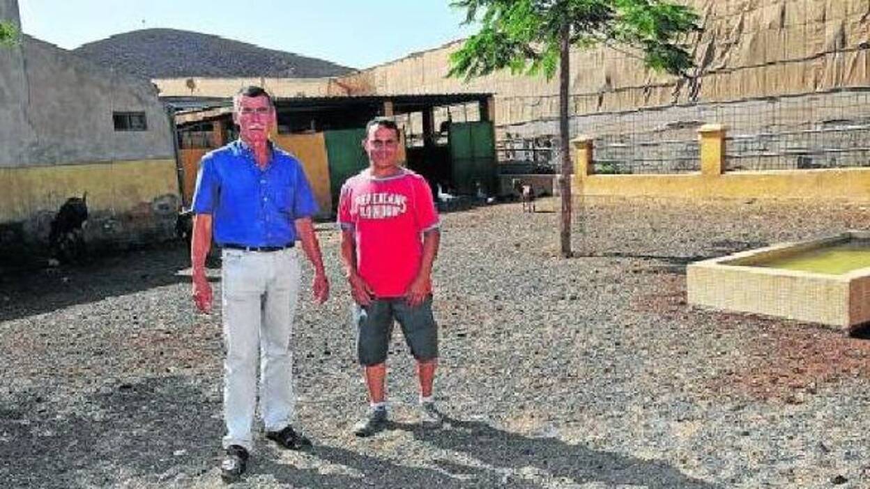 &#8216;Bambi&#8217; se muda a un &#8216;zoo-hotel&#8217;