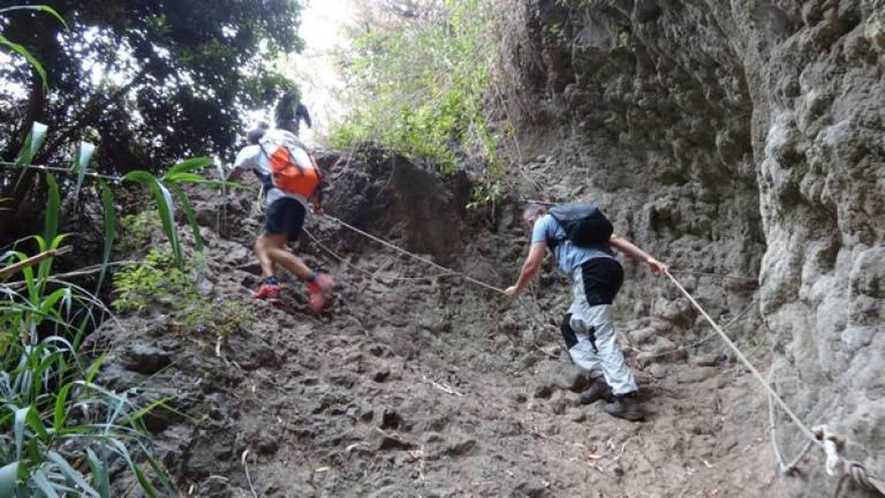 Entrenamiento a la sombra de Azuaje