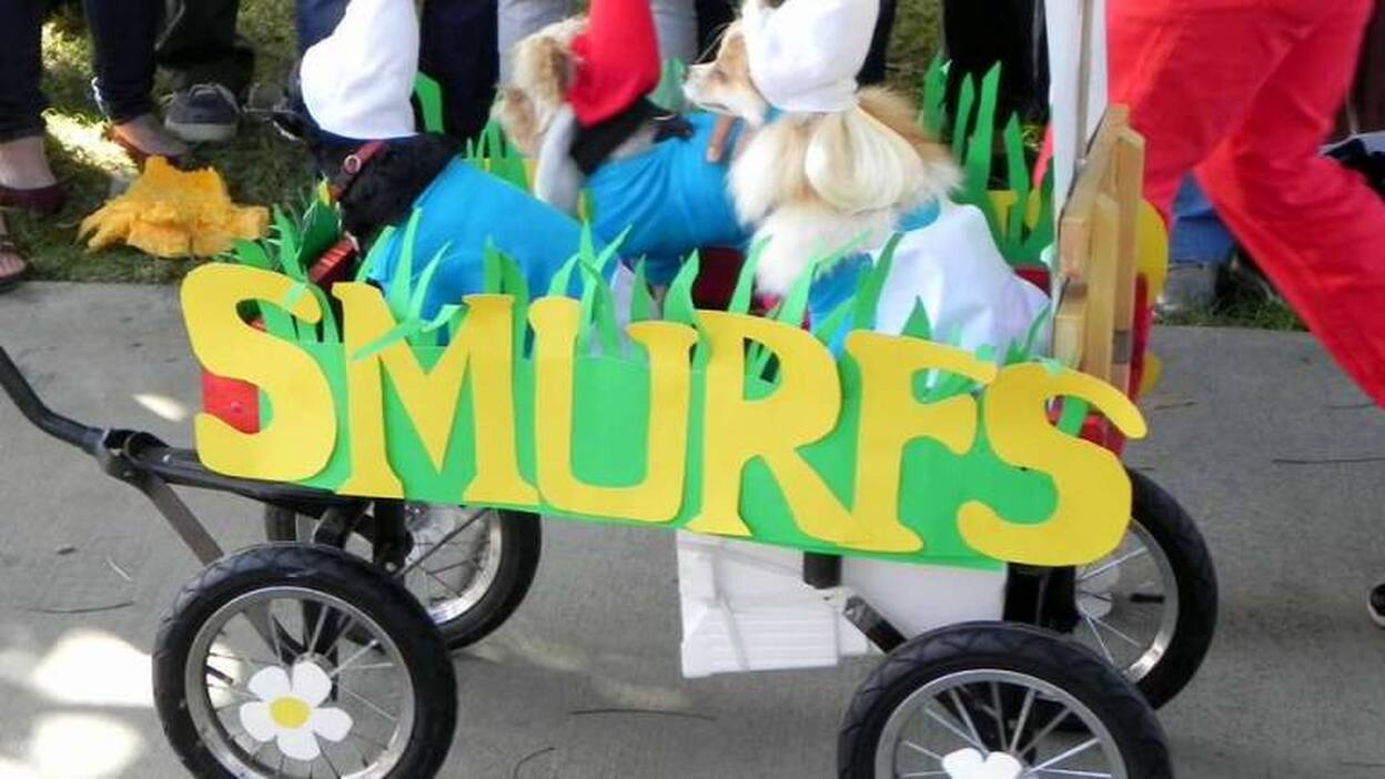 Desfile animal de Halloween