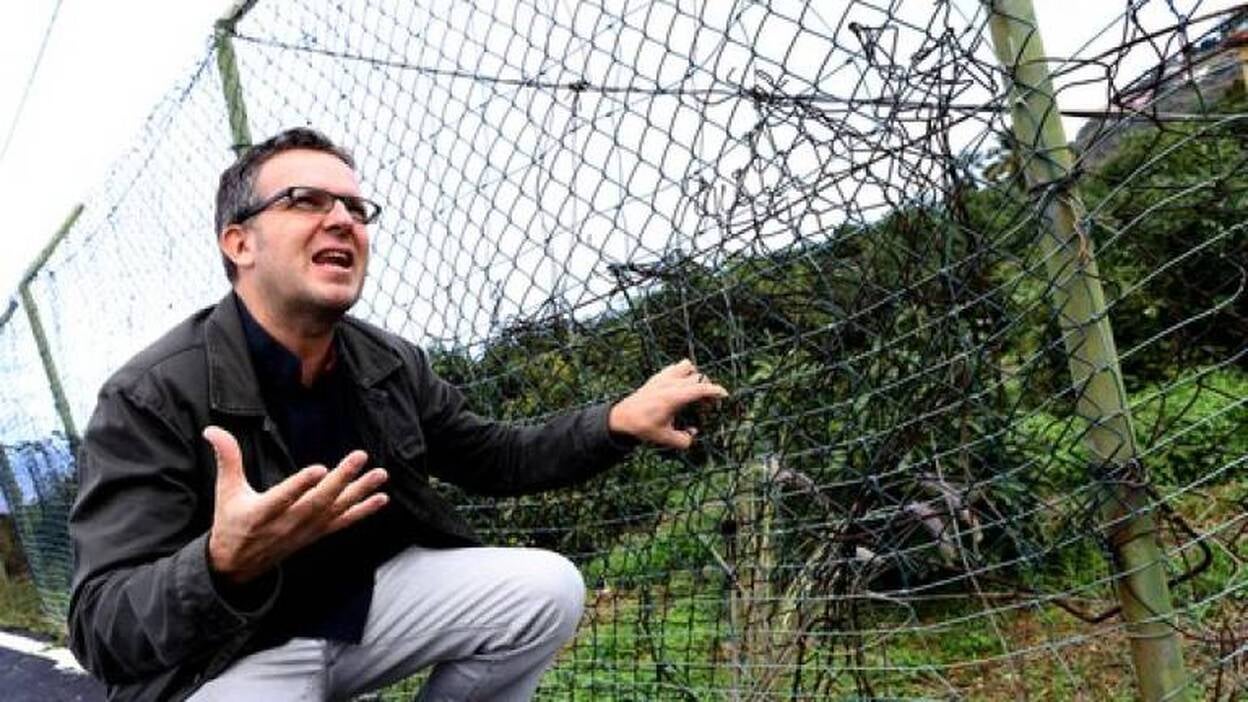 Los ladrones se echan al campo