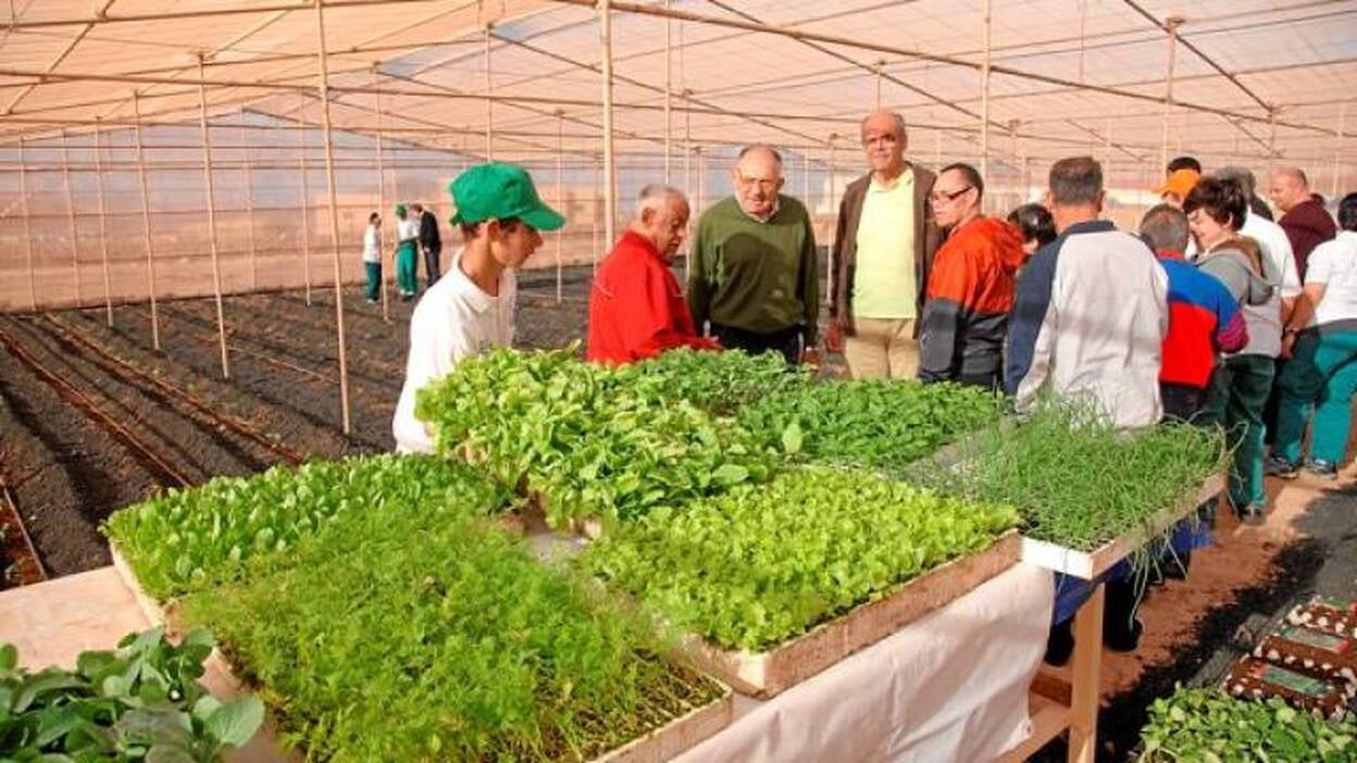 Una granja de 40.000 gallinas empleará a 25 discapacitados