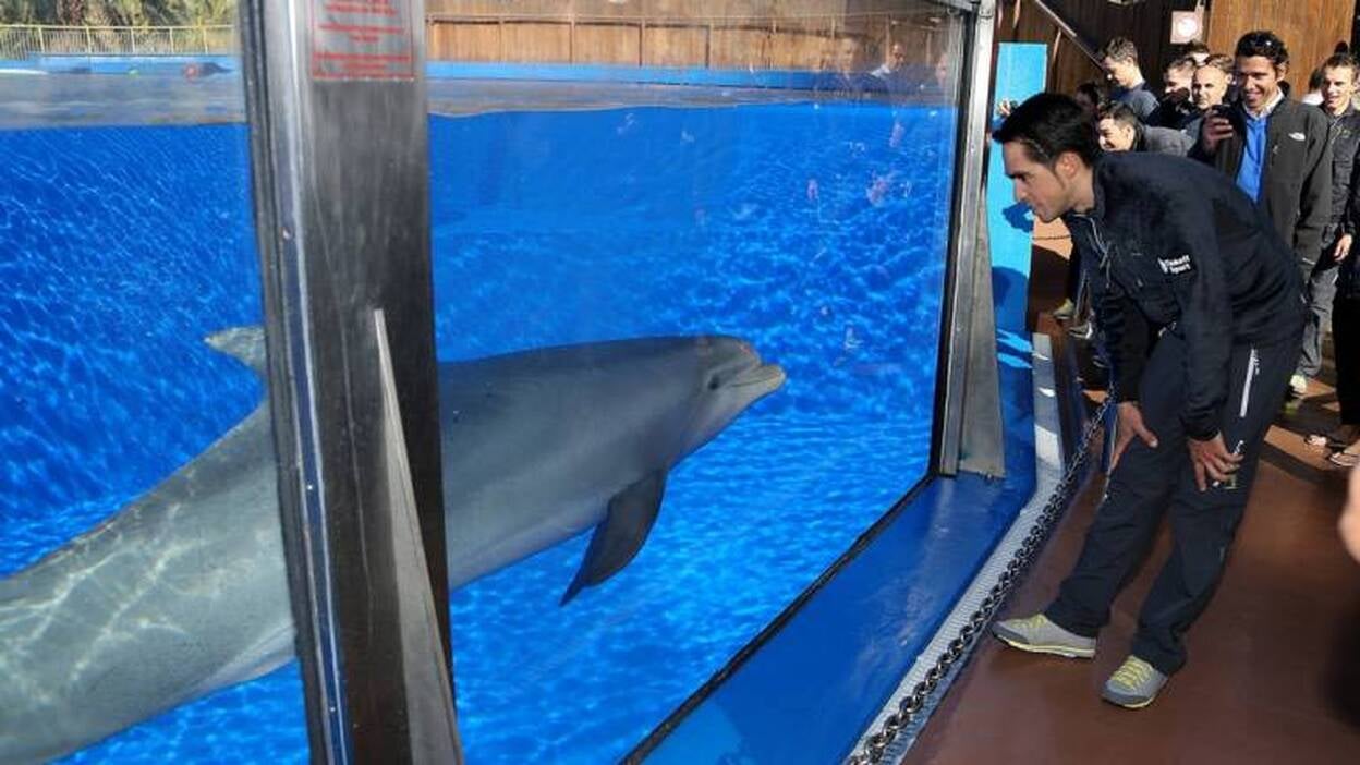 Contador elogia la calidad de Palmitos Park