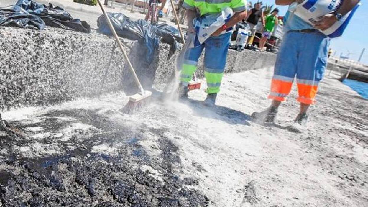 Las playas del Sur están limpias