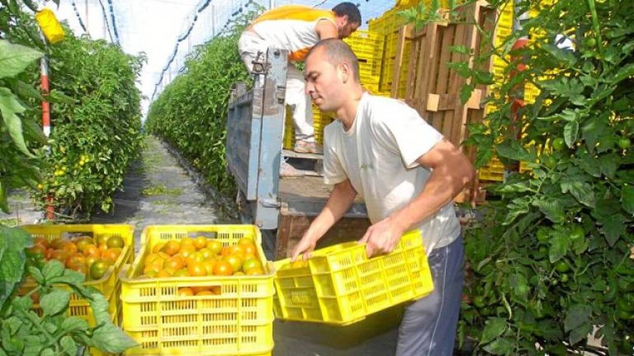 El Archipiélago no espera sorpresas