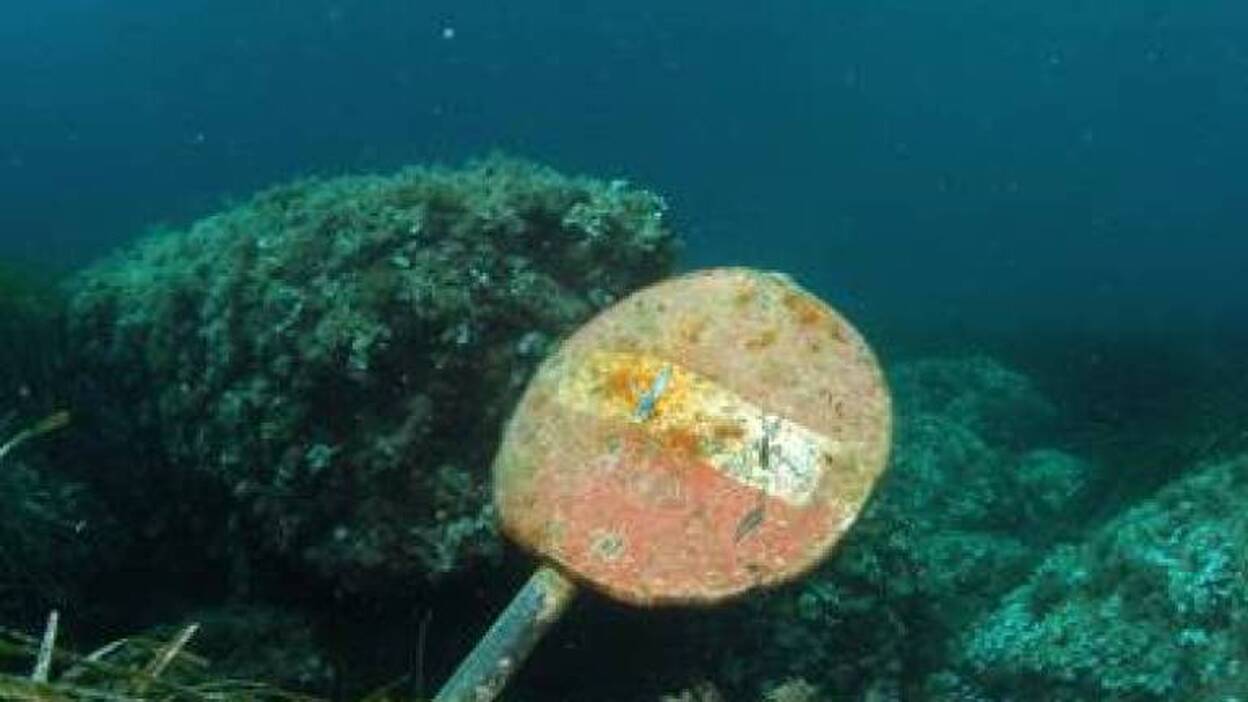 Los fondos marinos son un auténtico vertedero oceánico