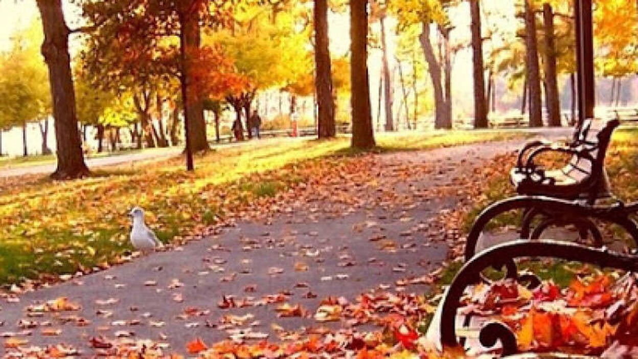 El otoño se presentará el martes próximo a las 03:29